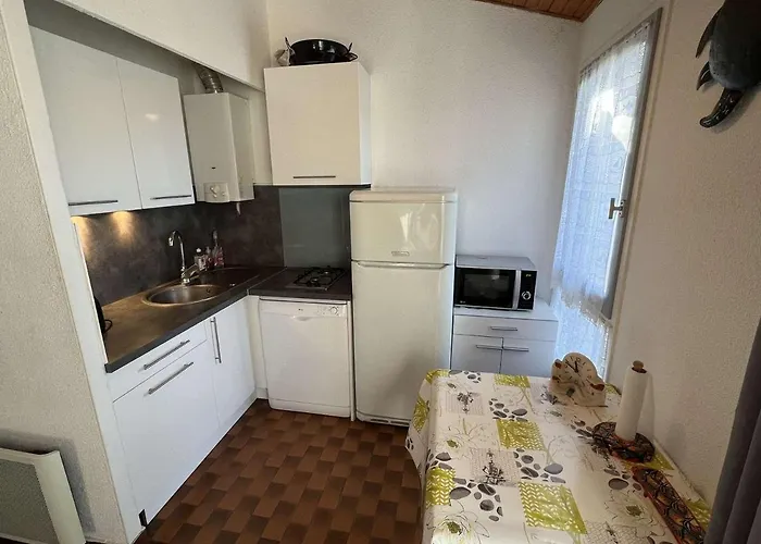 T2 Cabine, Rez-de-jardin, Parking, Lave-linge, Terrasse, Acces A 30m - Fr-1-702-16 *